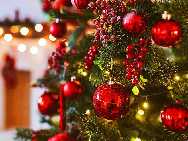 Rende, Natale all’insegna della solidarietà: raccolta fondi nelle scuole a favore del Mozambico\n