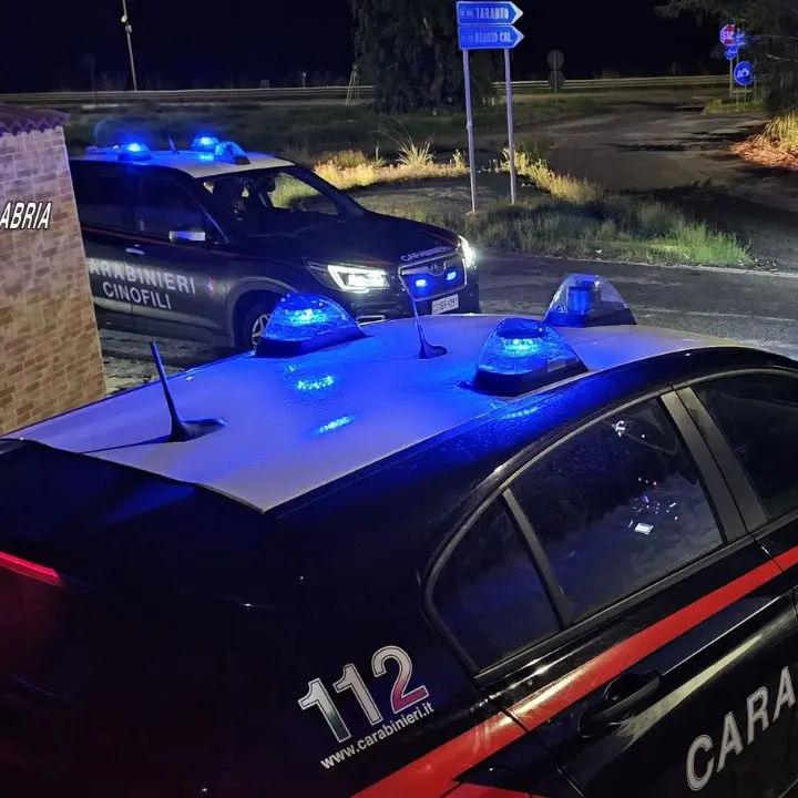 ’Ndrangheta, arrestato un 78enne per estorsione aggravata dal metodo\u00A0mafioso\u00A0nel Reggino\n