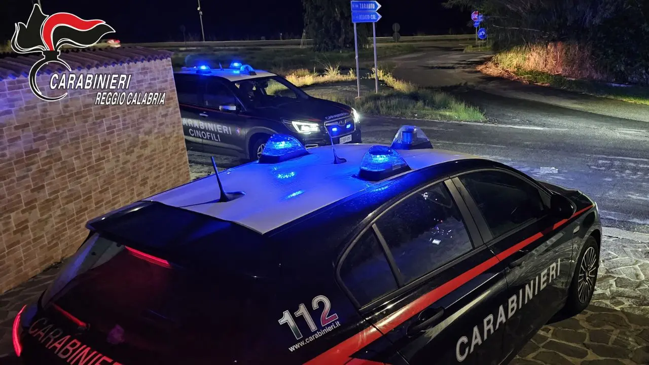 ’Ndrangheta, arrestato un 78enne per estorsione aggravata dal metodo\u00A0mafioso\u00A0nel Reggino\n