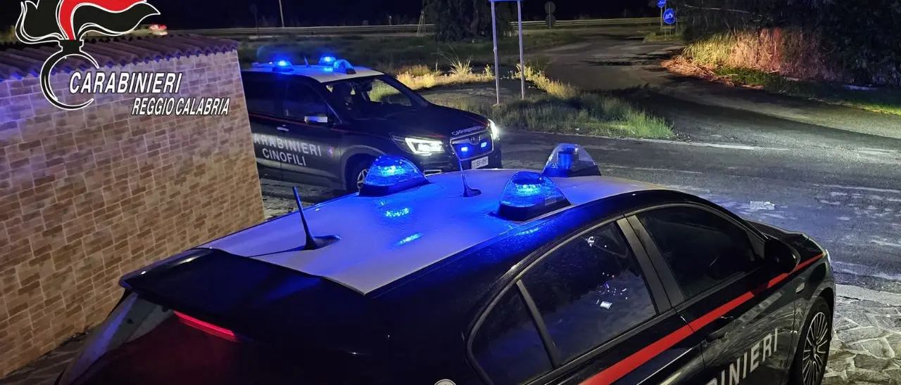 ’Ndrangheta, arrestato un 78enne per estorsione aggravata dal metodo\u00A0mafioso\u00A0nel Reggino\n