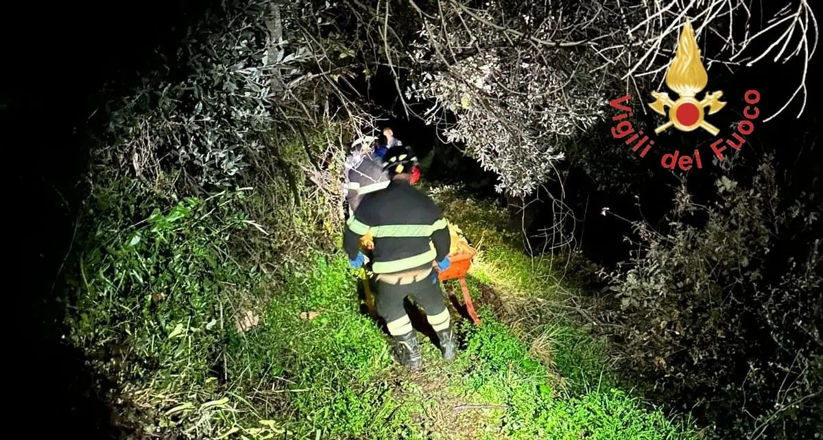 Nocera Terinese, un uomo di 67 anni scivola in una scarpata: trasportato in ospedale\n