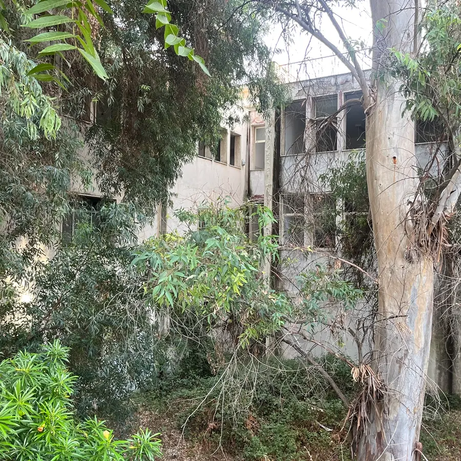 Deserte (di nuovo) le gare per la vendita all’asta dell'ex mercato Girasole e dell’ex scuola Mazzini. E il Miramare?\n