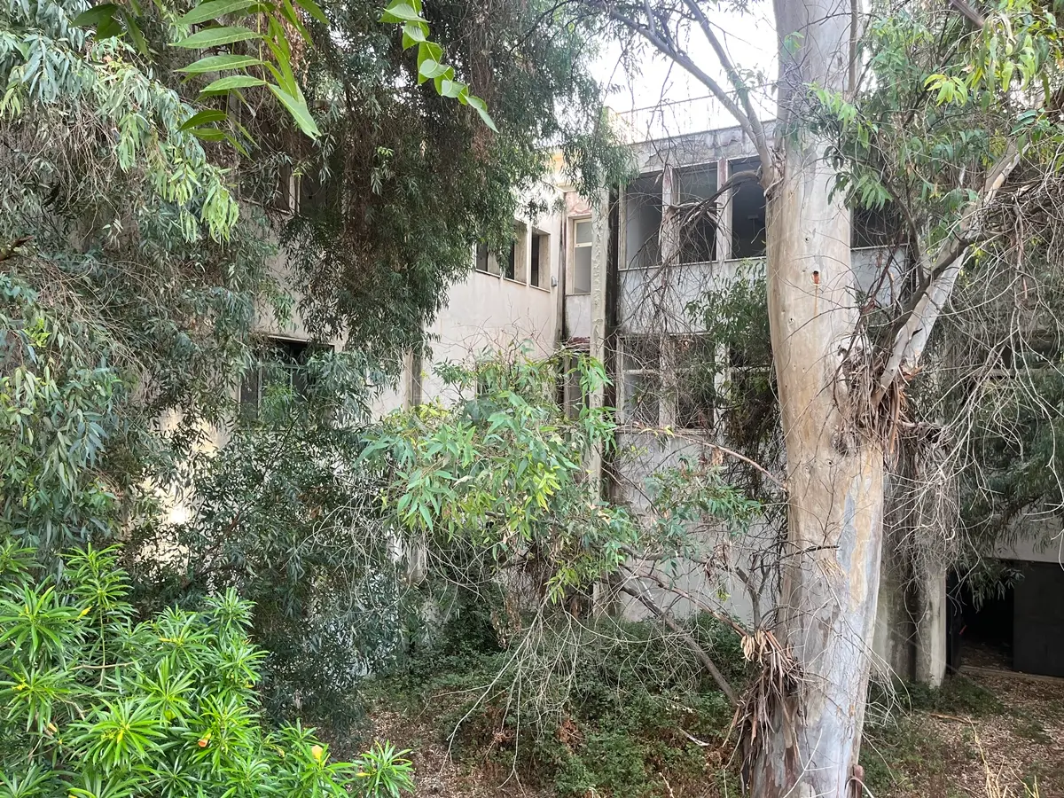 Deserte (di nuovo) le gare per la vendita all’asta dell'ex mercato Girasole e dell’ex scuola Mazzini. E il Miramare?