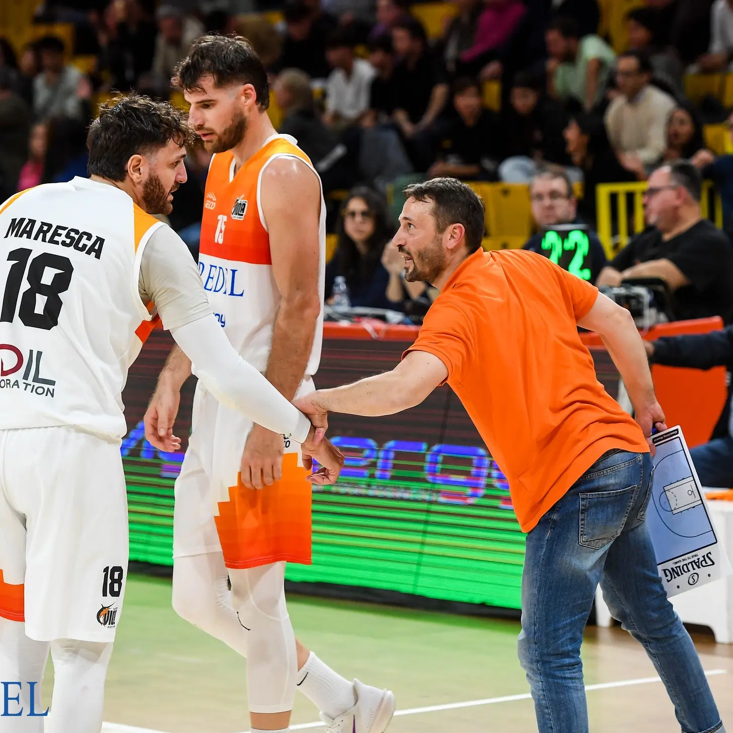 Redel Viola, Lovino: «Vittoria a Corato fondamentale. Ora testa alla capolista»\n