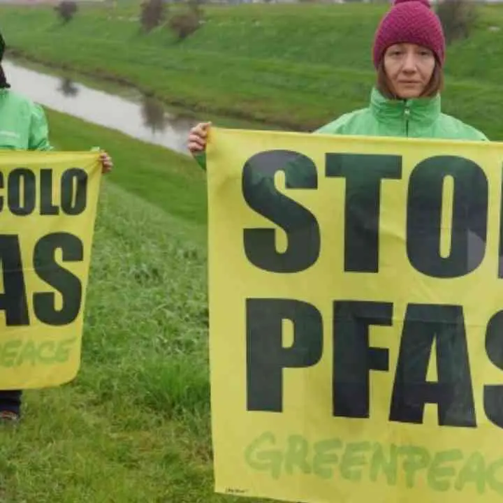 Pfas, gli inquinanti eterni che avvelenano la Calabria: Greenpeace individua pesci contaminati e acqua a rischio in tutta la regione\n