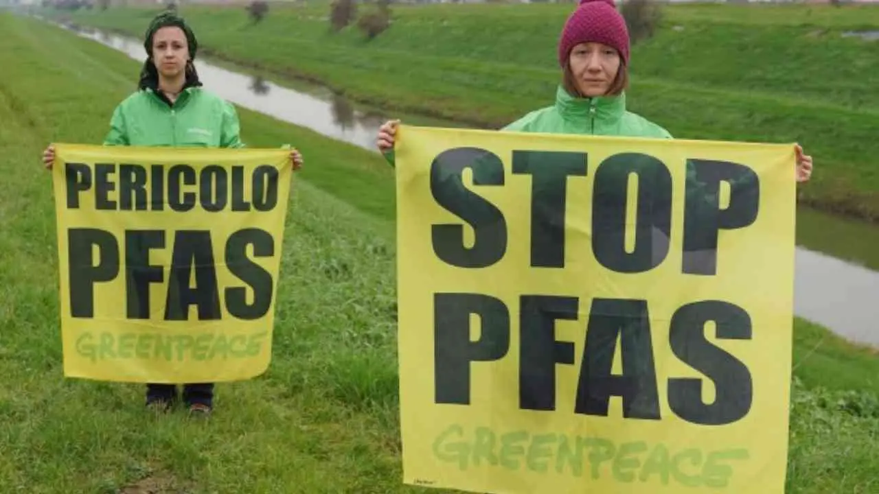 Pfas, gli inquinanti eterni che avvelenano la Calabria: Greenpeace individua pesci contaminati e acqua a rischio in tutta la regione\n