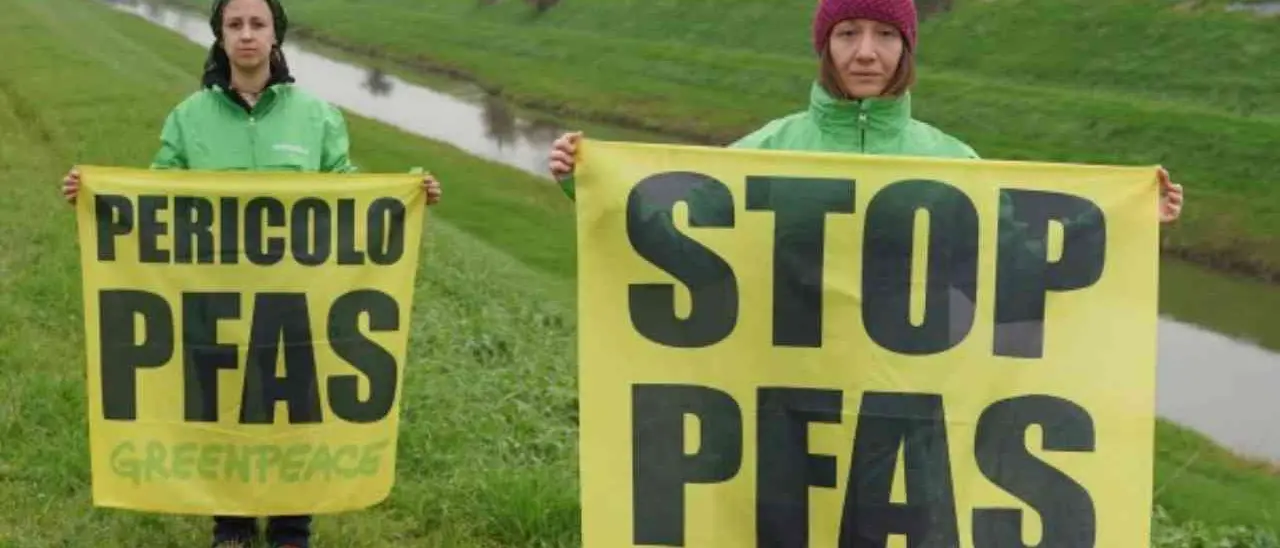 Pfas, gli inquinanti eterni che avvelenano la Calabria: Greenpeace individua pesci contaminati e acqua a rischio in tutta la regione\n