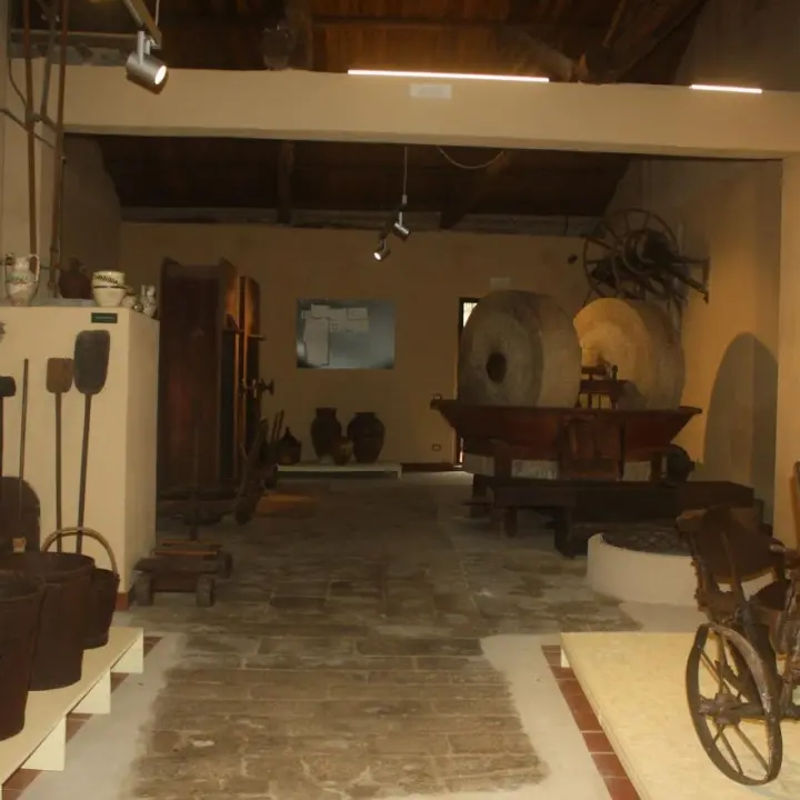 Tra paesaggio e nutrizione, al Museo etno-antropologico di Ricadi focus su ulivo e olio extravergine\n