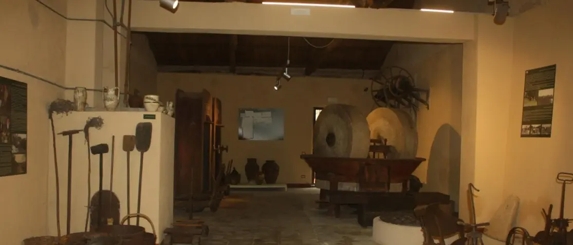 Tra paesaggio e nutrizione, al Museo etno-antropologico di Ricadi focus su ulivo e olio extravergine\n