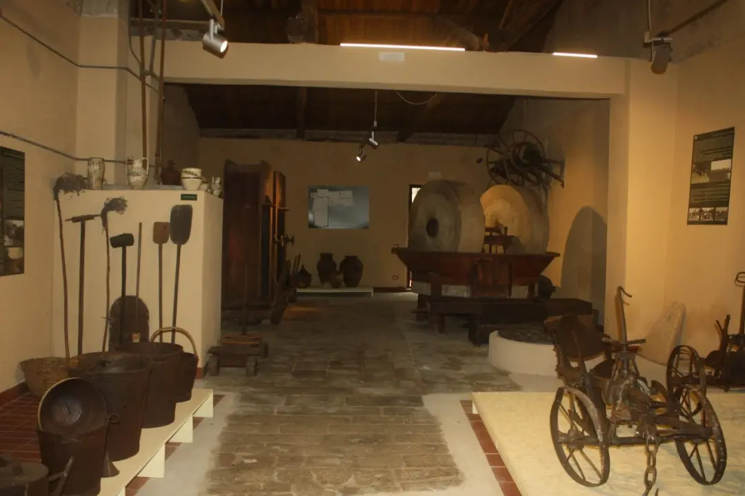 Tra paesaggio e nutrizione, al Museo etno-antropologico di Ricadi focus su ulivo e olio extravergine\n