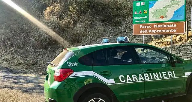 Oppido Mamertina, cacciava illegalmente ghiri nel parco: denunciato\n