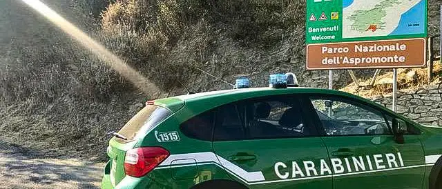 Oppido Mamertina, cacciava illegalmente ghiri nel parco: denunciato\n