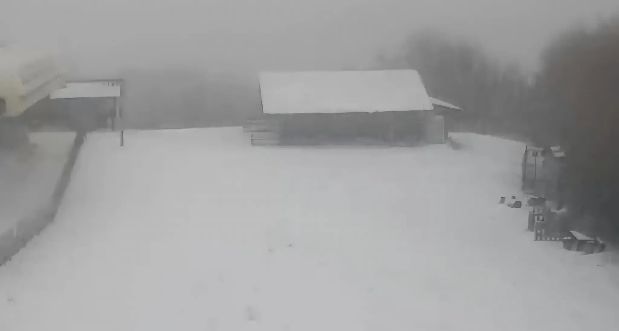 La prima neve della stagione: la Sila si risveglia imbiancata