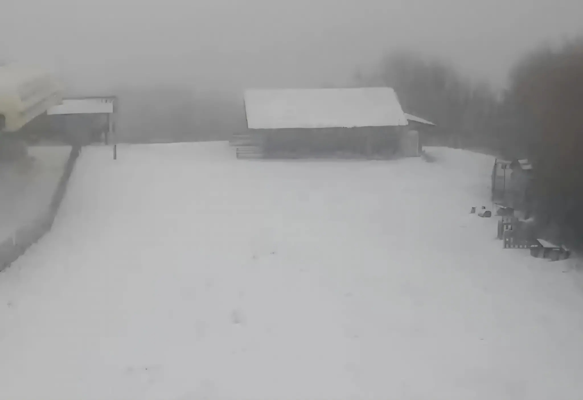 La prima neve della stagione: la Sila si risveglia imbiancata