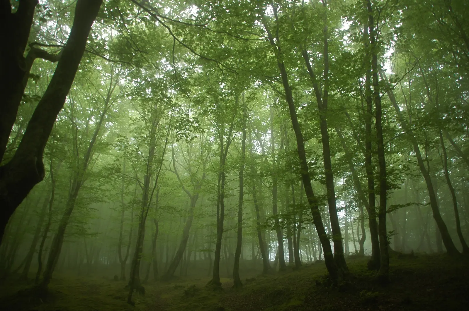 Un patto per la montagna che guarda al futuro dell’Aspromonte: siglato importante protocollo d’intesa\n