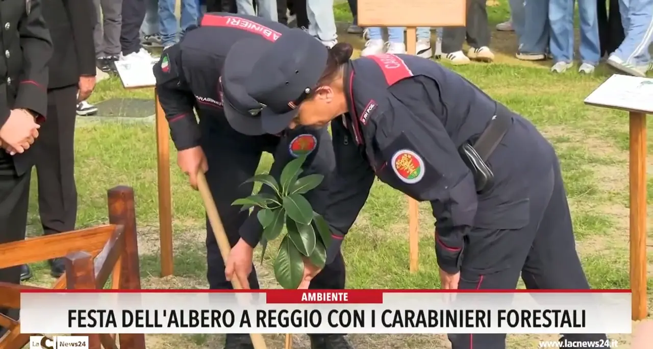 Festa dell'albero a Reggio con i Carabinieri forestali