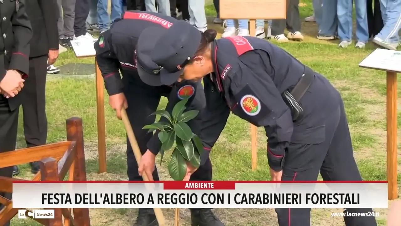 Festa dell'albero a Reggio con i Carabinieri forestali