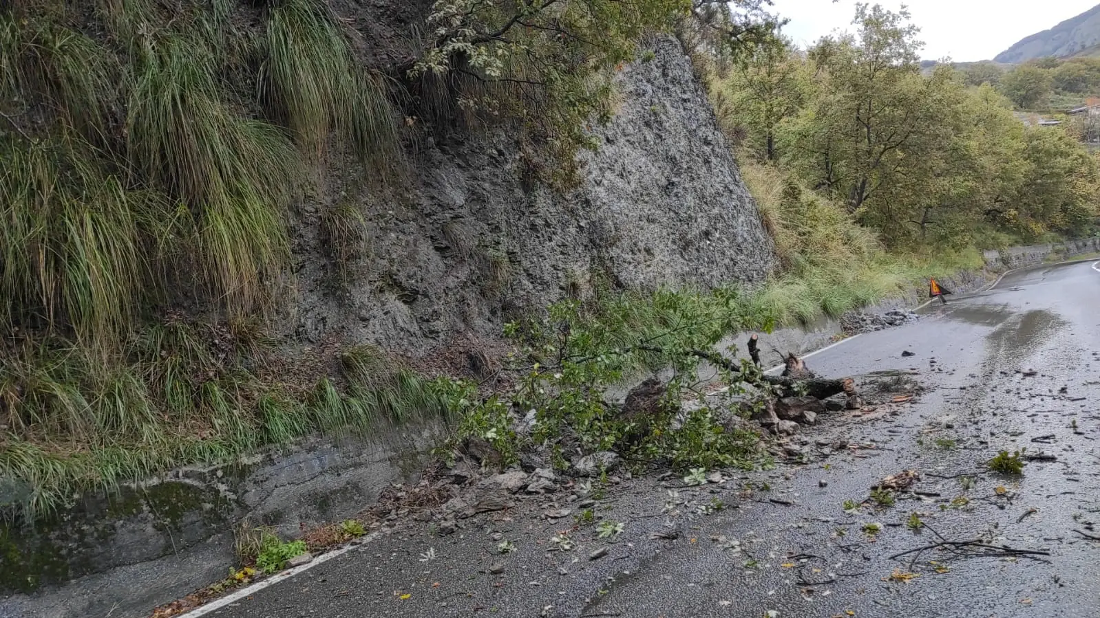 <p>La caduta di alberi e massi immortalata in uno scatto</p>\\n