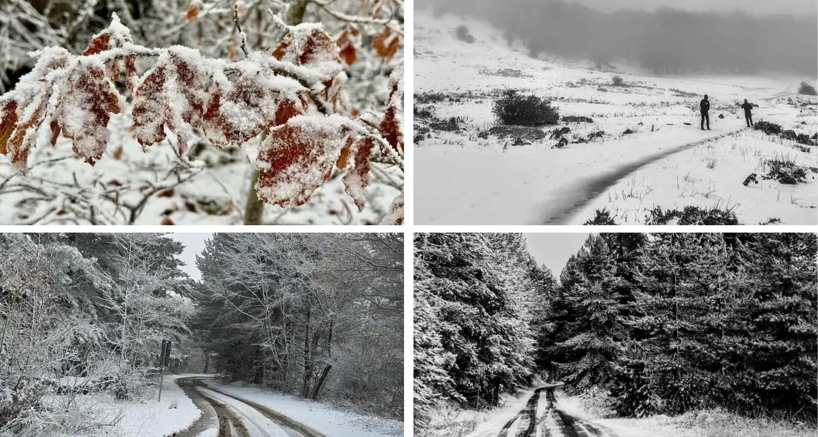 Calabria sotto la pioggia: temperature in picchiata mentre la neve dalle vette scende fino a quote più basse\n