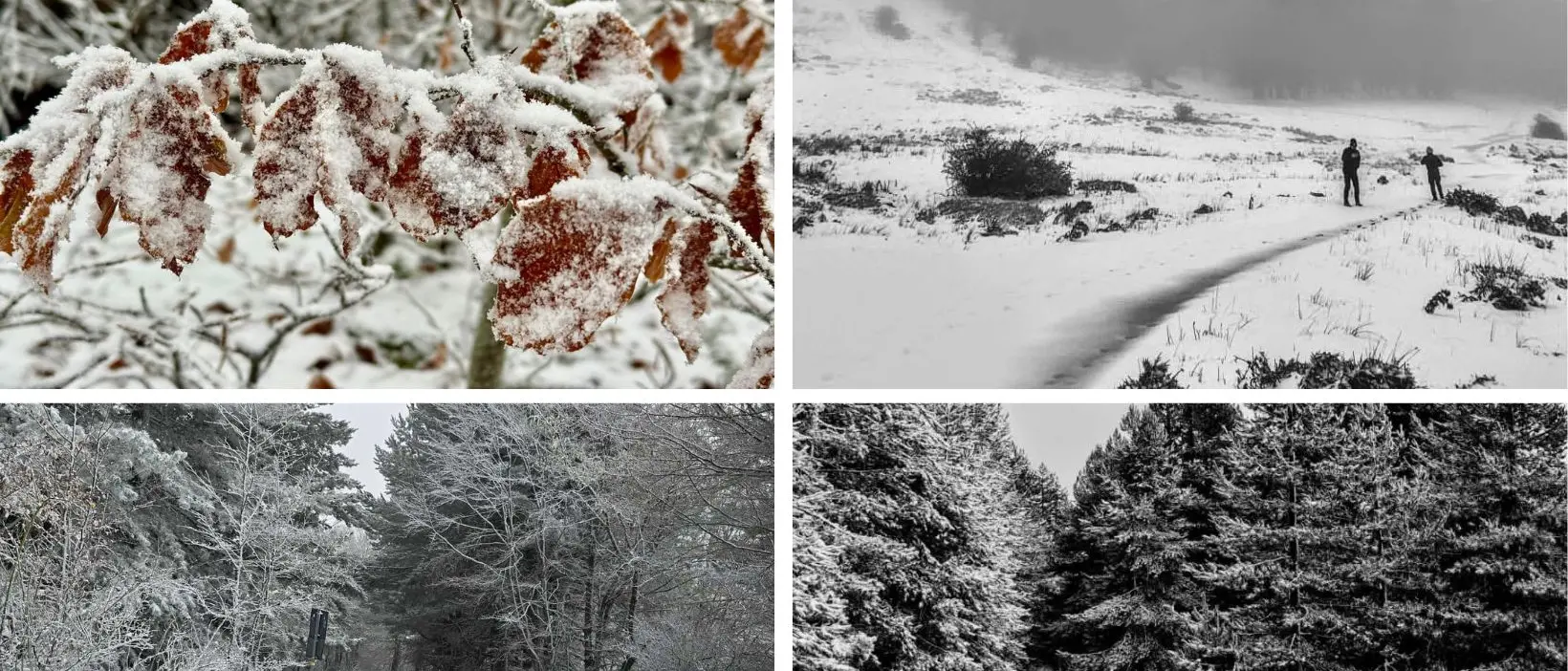 Calabria sotto la pioggia: temperature in picchiata mentre la neve dalle vette scende fino a quote più basse\n