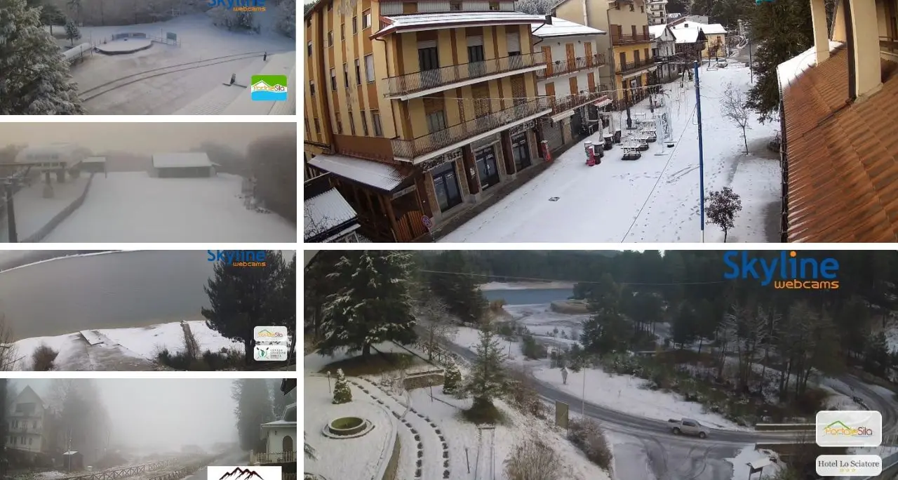 Neve in Calabria: da Sila e Pollino fino all’Aspromonte ecco le imbiancate più spettacolari