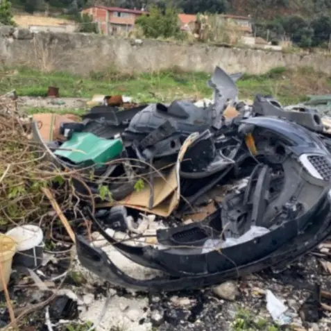 Reggio,\u00A0OIPA e Guardia Agroforestale unite per restituire dignità ambientale e responsabilità civica\n