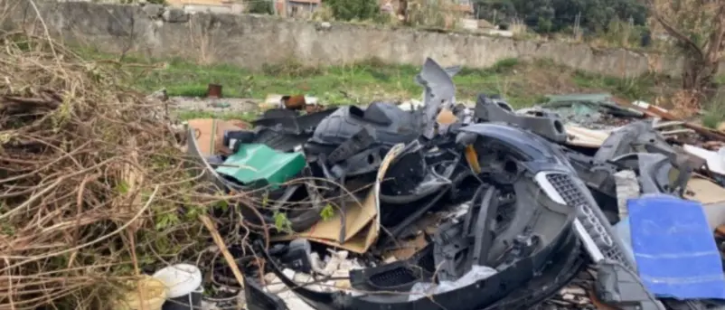 Reggio,\u00A0OIPA e Guardia Agroforestale unite per restituire dignità ambientale e responsabilità civica\n