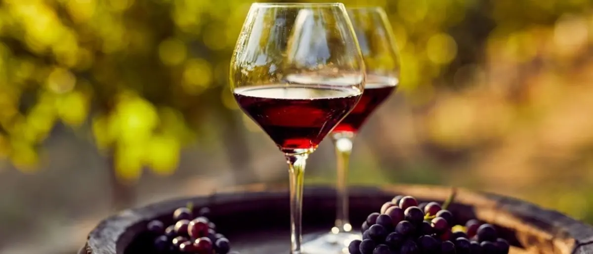 Musica, cibo e vino: a Montalto Uffugo si alza il sipario sul Wine fest: ecco il programma\n