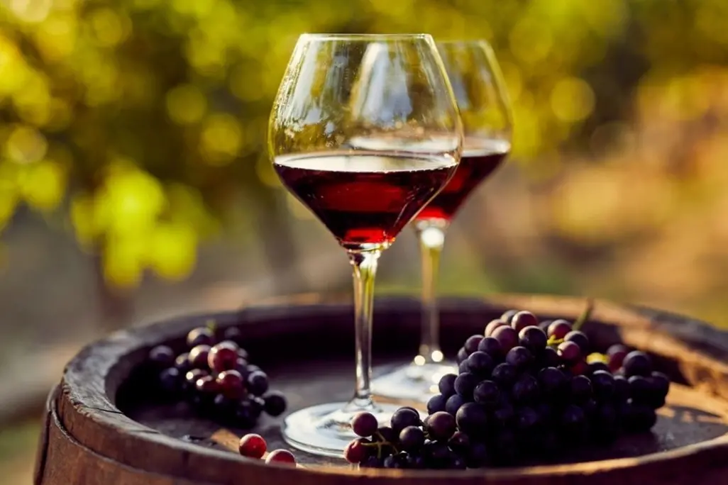 Musica, cibo e vino: a Montalto Uffugo si alza il sipario sul Wine fest: ecco il programma\n