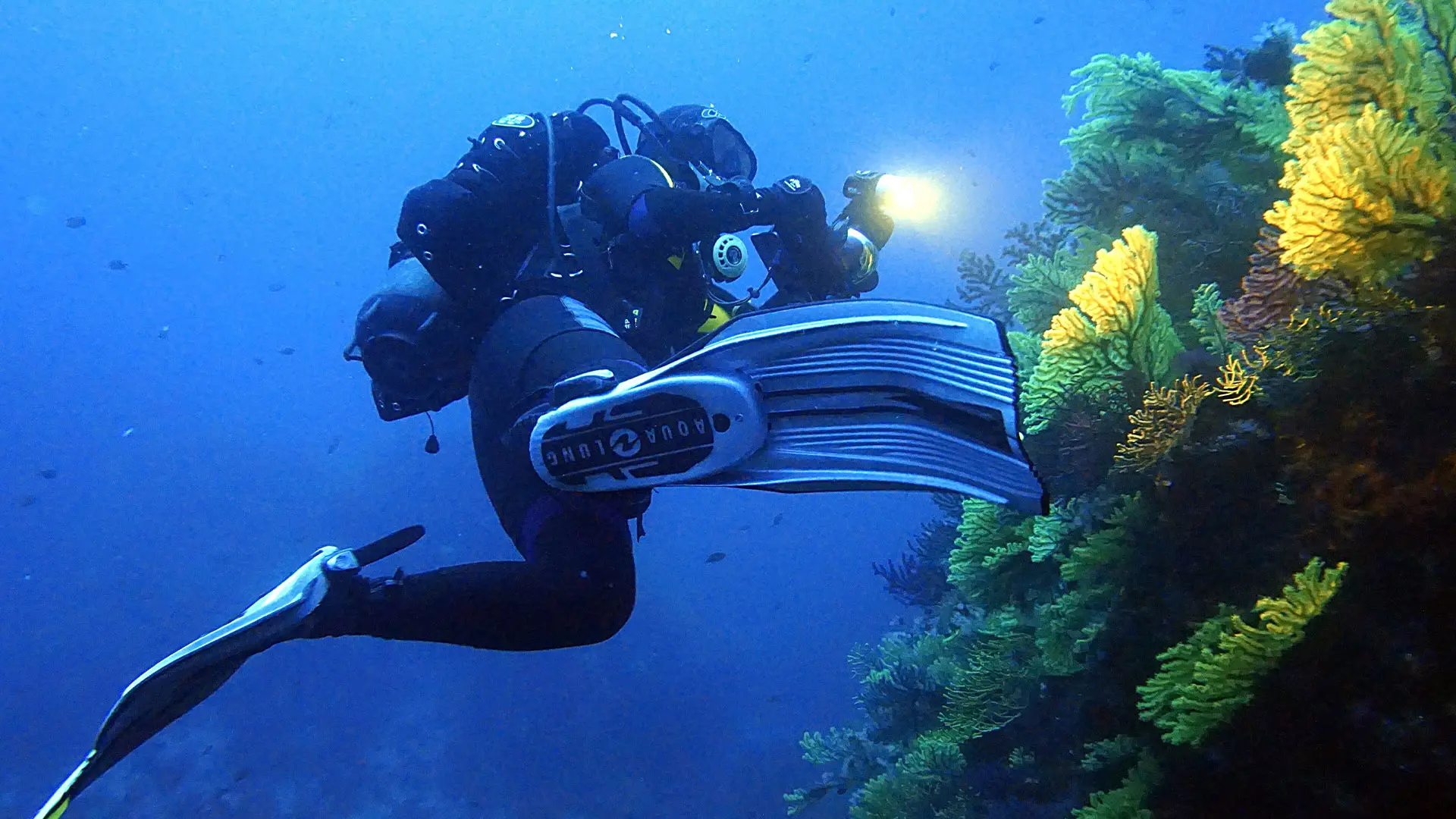 Osservare il mare per capire cosa non va a terra, Greco: «L’inquinamento non è solo d’estate ma anche d’inverno»\n