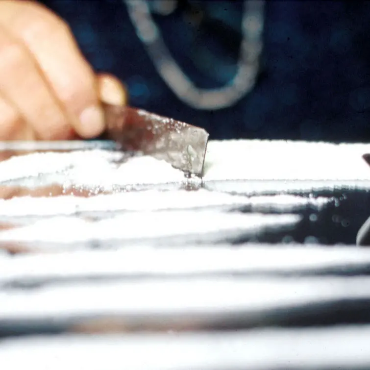 Maxi operazione antidroga tra Roma e Latina, smantellate due reti di spaccio: 15 arresti\n