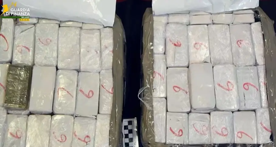 Tonnellate di cocaina dal Sudamerica, così la ‘ndrangheta gestiva il traffico: la droga arrivava nei porti di tutta Europa\n