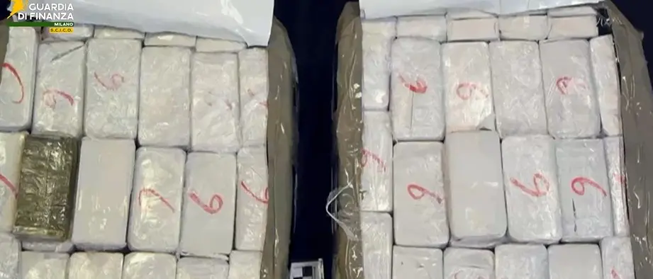 Tonnellate di cocaina dal Sudamerica, così la ‘ndrangheta gestiva il traffico: la droga arrivava nei porti di tutta Europa\n