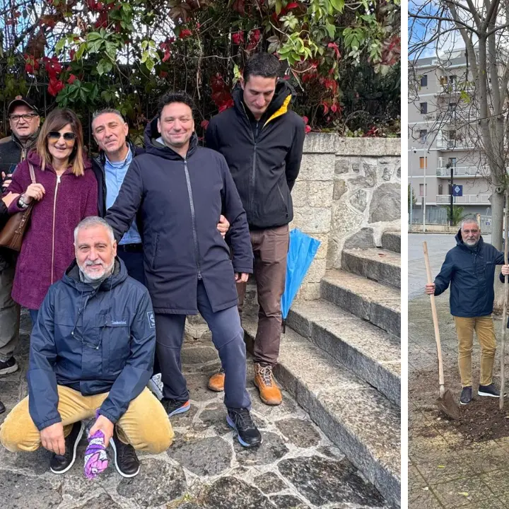 Il Movimento 5 Stelle partecipa alla Festa dell’albero: nuove piantumazioni\u00A0a Vibo Valentia\n