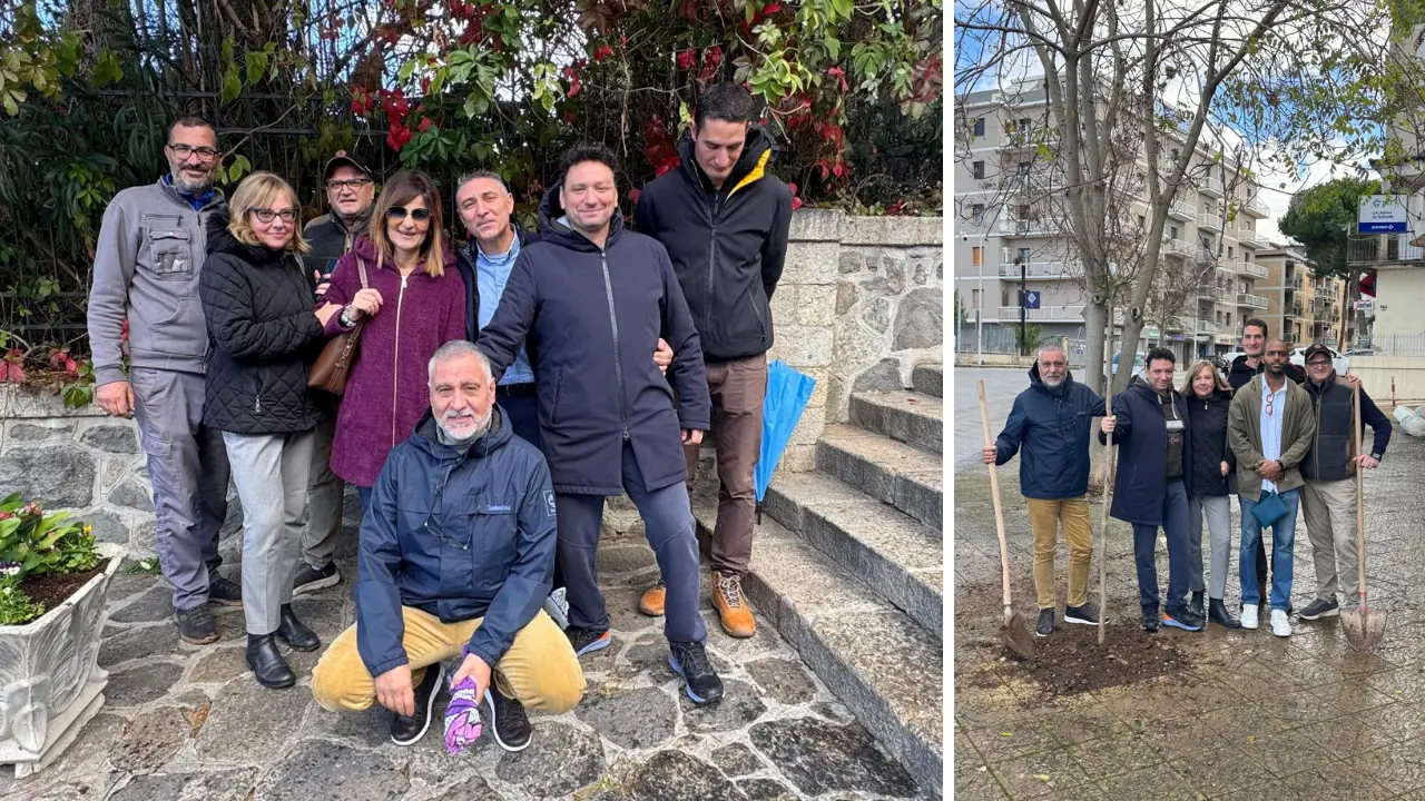 Il Movimento 5 Stelle partecipa alla Festa dell’albero: nuove piantumazioni\u00A0a Vibo Valentia\n