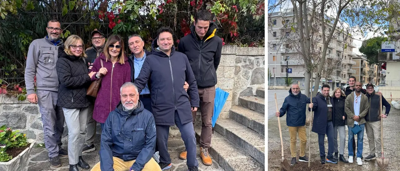 Il Movimento 5 Stelle partecipa alla Festa dell’albero: nuove piantumazioni\u00A0a Vibo Valentia\n