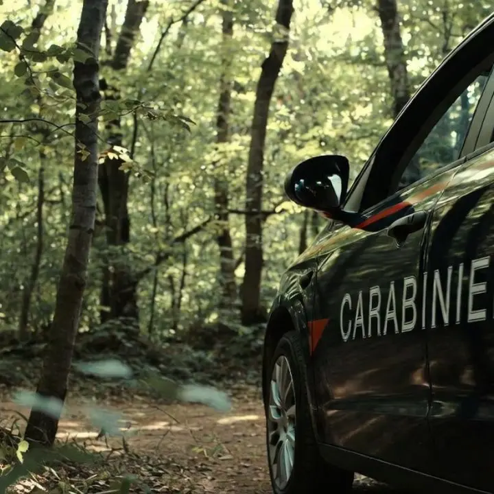Uomo va a raccogliere funghi e non torna a casa: allarme nei boschi della Sila Piccola\n