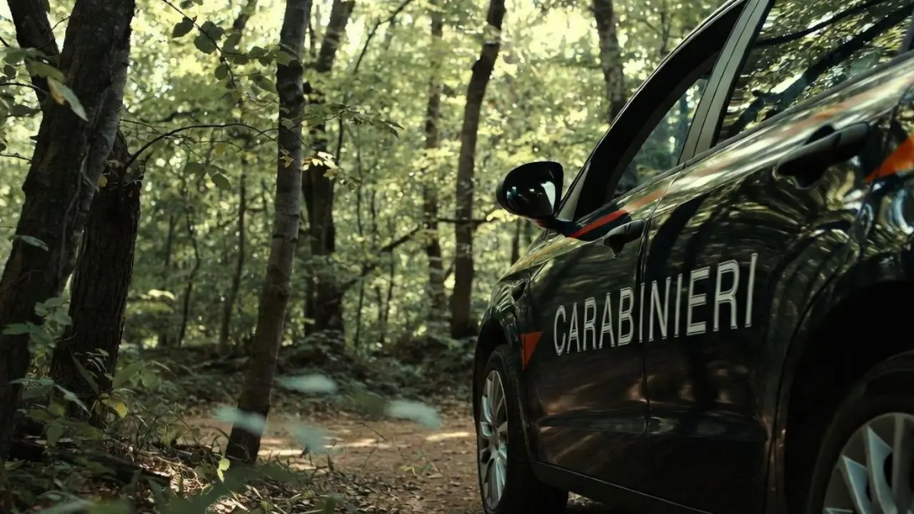 Uomo va a raccogliere funghi e non torna a casa: allarme nei boschi della Sila Piccola\n