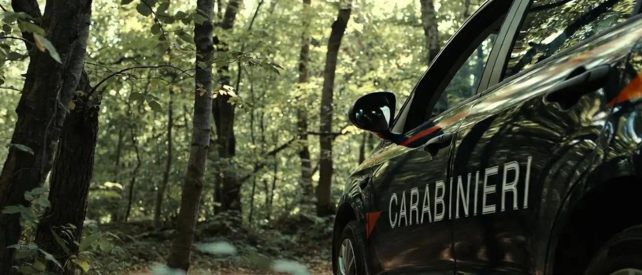 Uomo va a raccogliere funghi e non torna a casa: allarme nei boschi della Sila Piccola\n