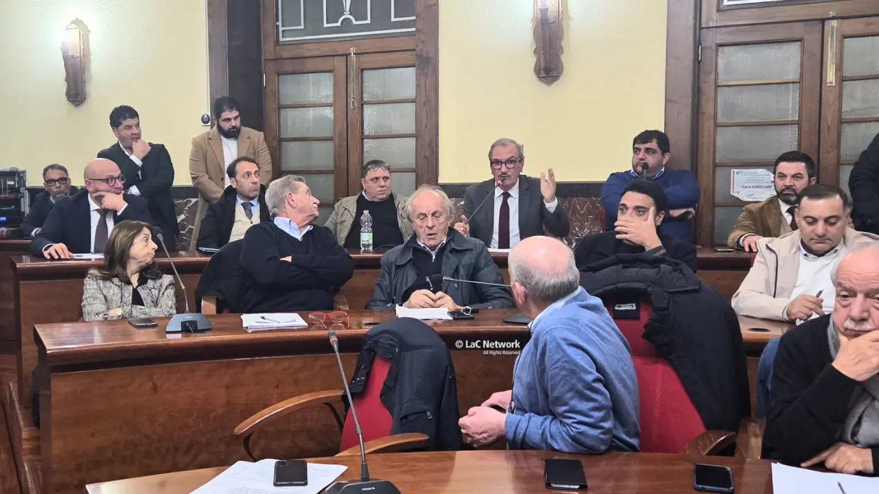 Sanità vibonese, Romeo invoca l’intervento della Protezione civile: «È una vera e propria emergenza»\n