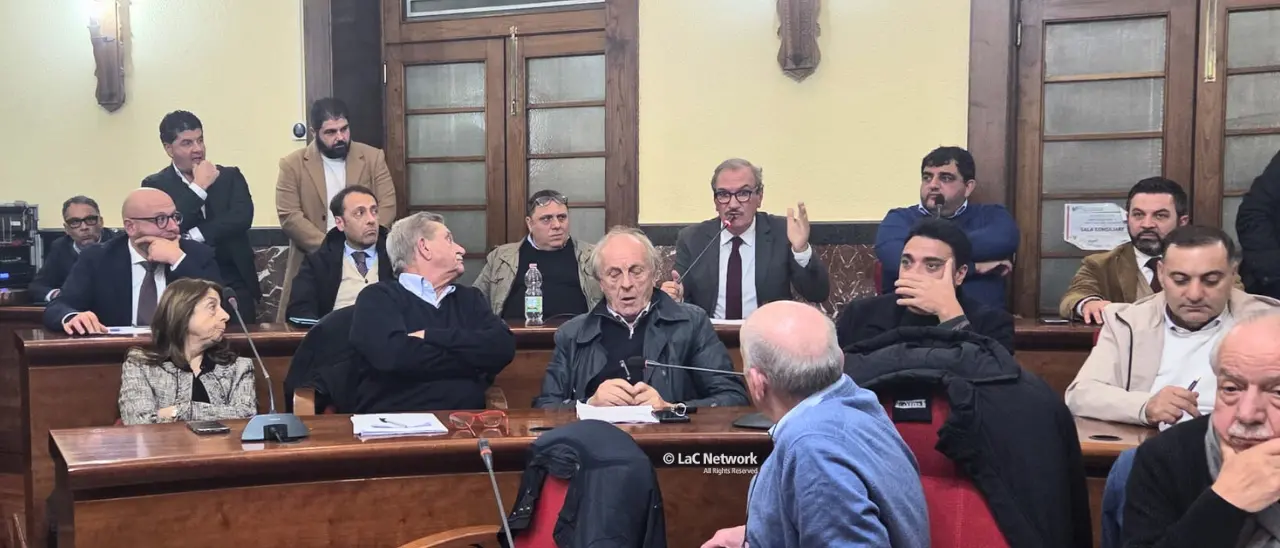 Sanità vibonese, Romeo invoca l’intervento della Protezione civile: «È una vera e propria emergenza»\n