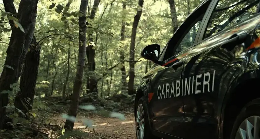 Ritrovato l’uomo scomparso nel Catanzarese, era uscito per cercare funghi:\u00A0sta bene\n