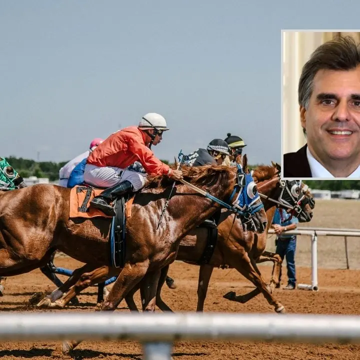 I soldi della ricerca per viaggi, cavalli e per un’azienda agricola: sequestrati 2,5 milioni all’ex rettore di Messina\n