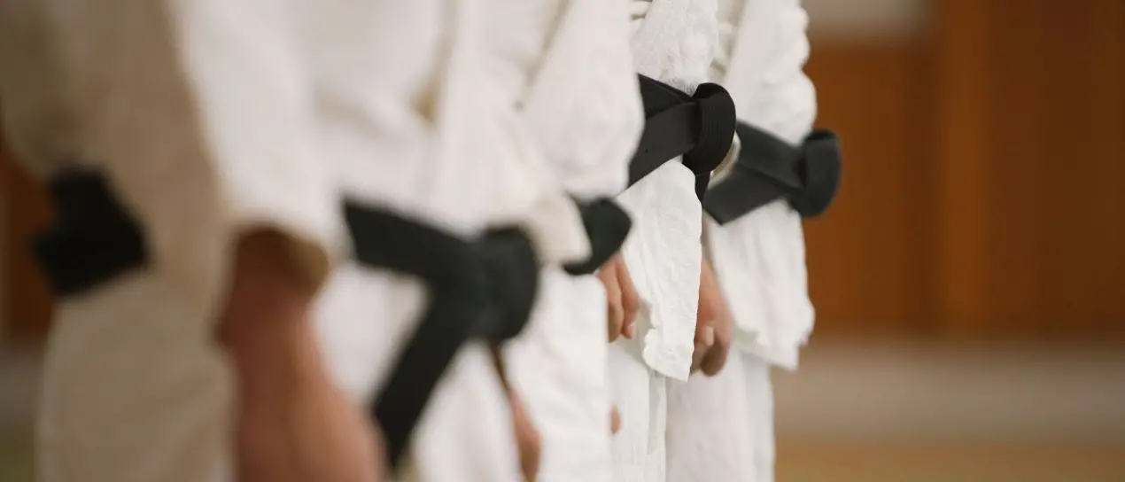Vibo, tutto pronto per il corso Karate e lotta: attesi partecipanti da ogni angolo della Calabria\n