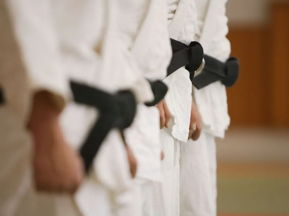 Vibo, tutto pronto per il corso Karate e lotta: attesi partecipanti da ogni angolo della Calabria