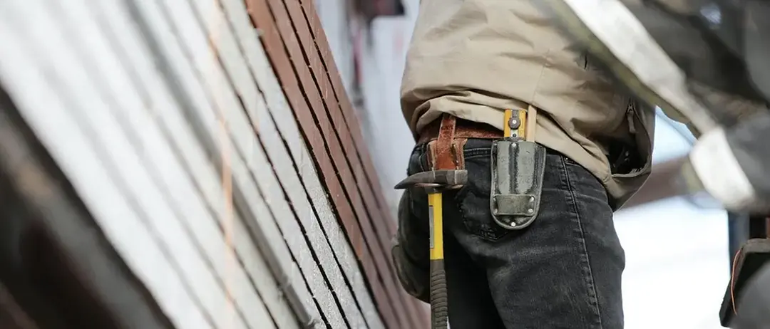 Imprese non agricole, crescita significativa anche in Calabria: aumentano aziende attive e posti di lavoro\n