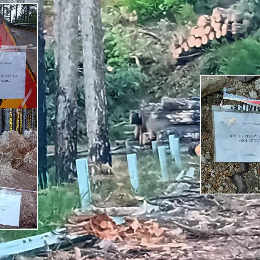 Violazioni ambientali: sequestri dei carabinieri a Nardodipace, deferito un consigliere comunale\n