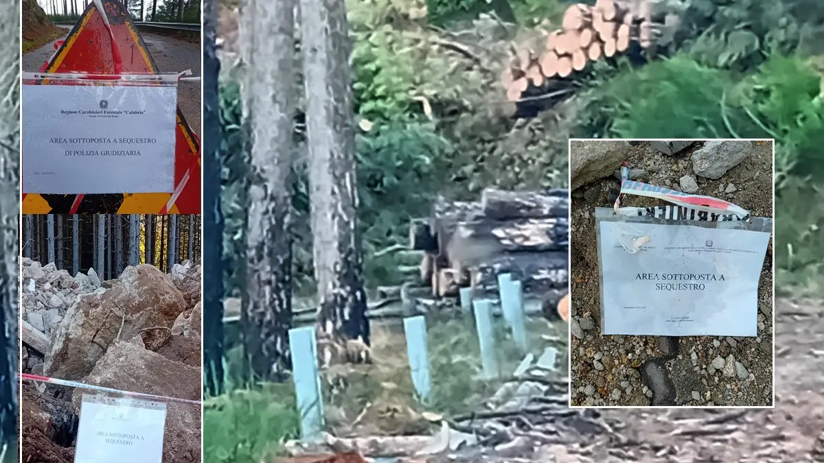 <p>L'area al centro del taglio della vegetazione finita sotto sequestro e nei riquadri a sinistra il relativo cartello e in basso quello posto nell'area del cimitero. A destra i sigilli nell'area industriale</p>\\n