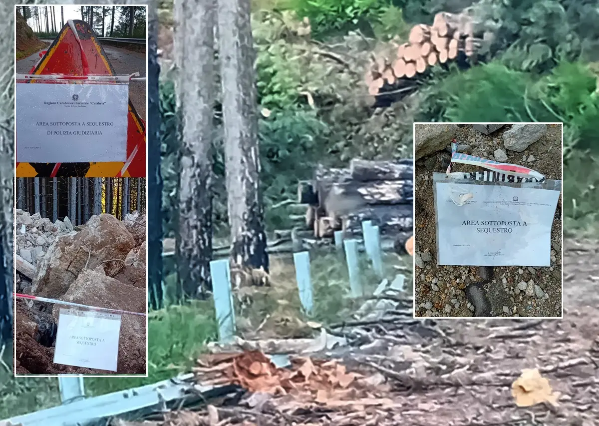 Violazioni ambientali: sequestri dei carabinieri a Nardodipace, deferito un consigliere comunale\n