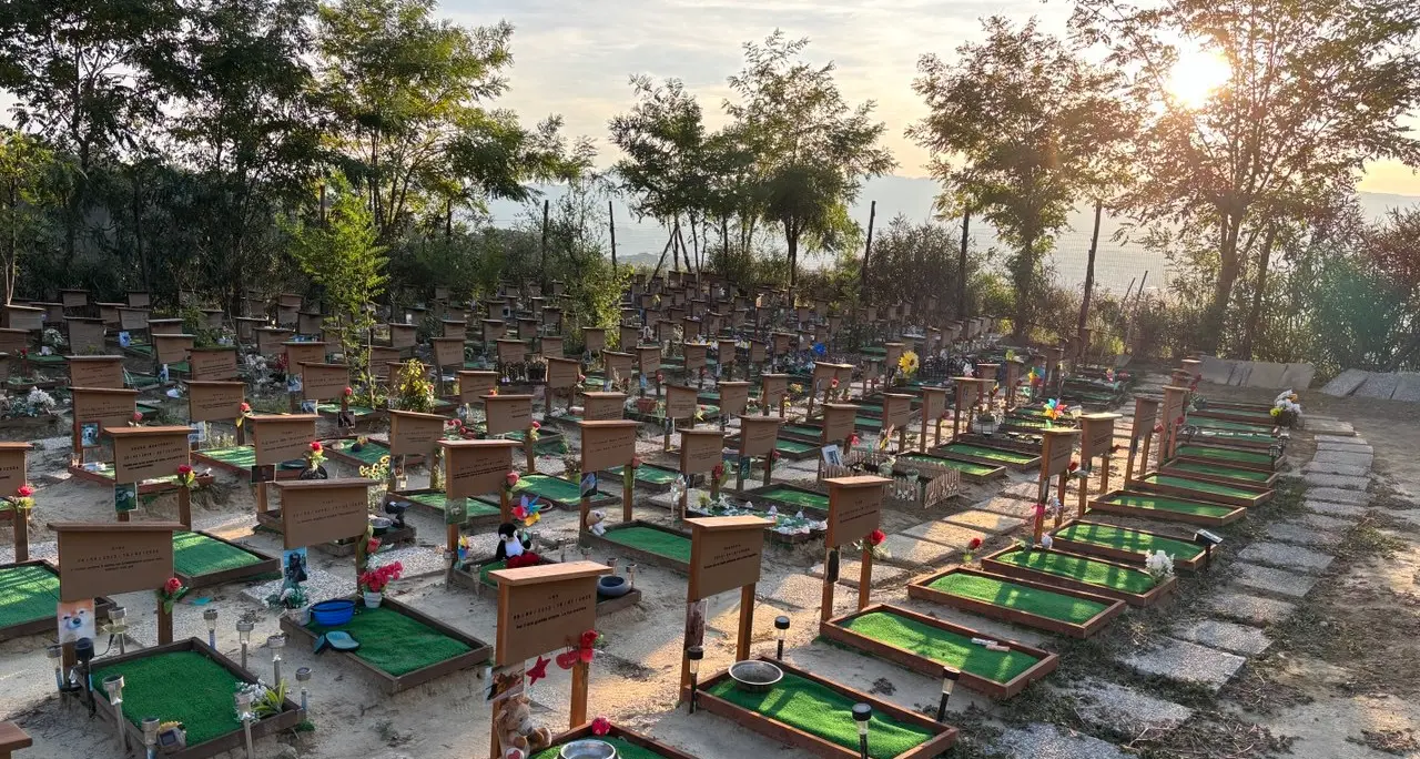 «L’appello del network LaC decisivo per la nostra struttura»:\u00A0il cimitero per animali “La Dolce Quiete” rilancia e si rinnova\n